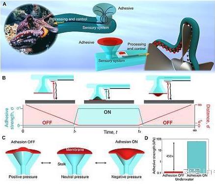 受章魚吸盤的啟發(fā)，他們3D打印了水下抓握手套 微信截圖_20230304162715